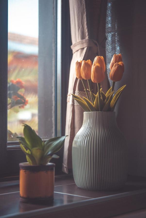 Hauptman Apartman Nagyatád Exteriér fotografie